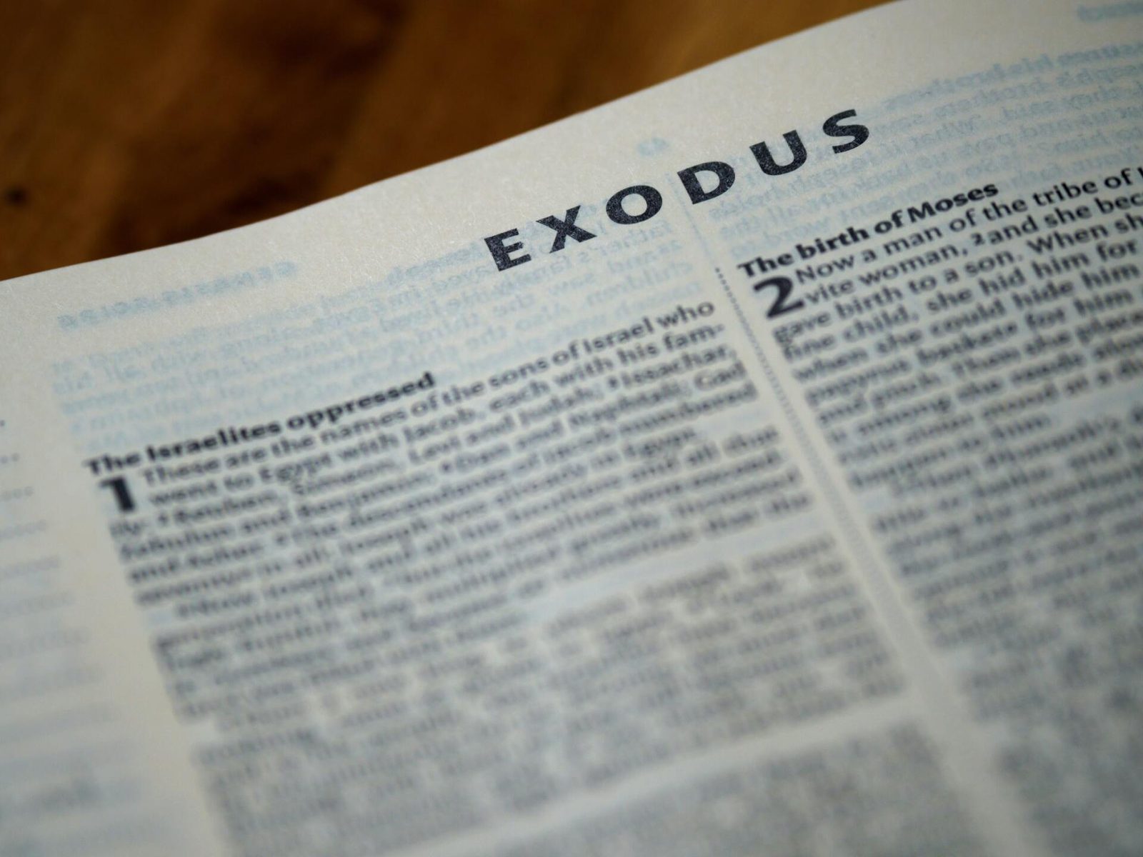 Why Were Jews Persecuted Throughout History?