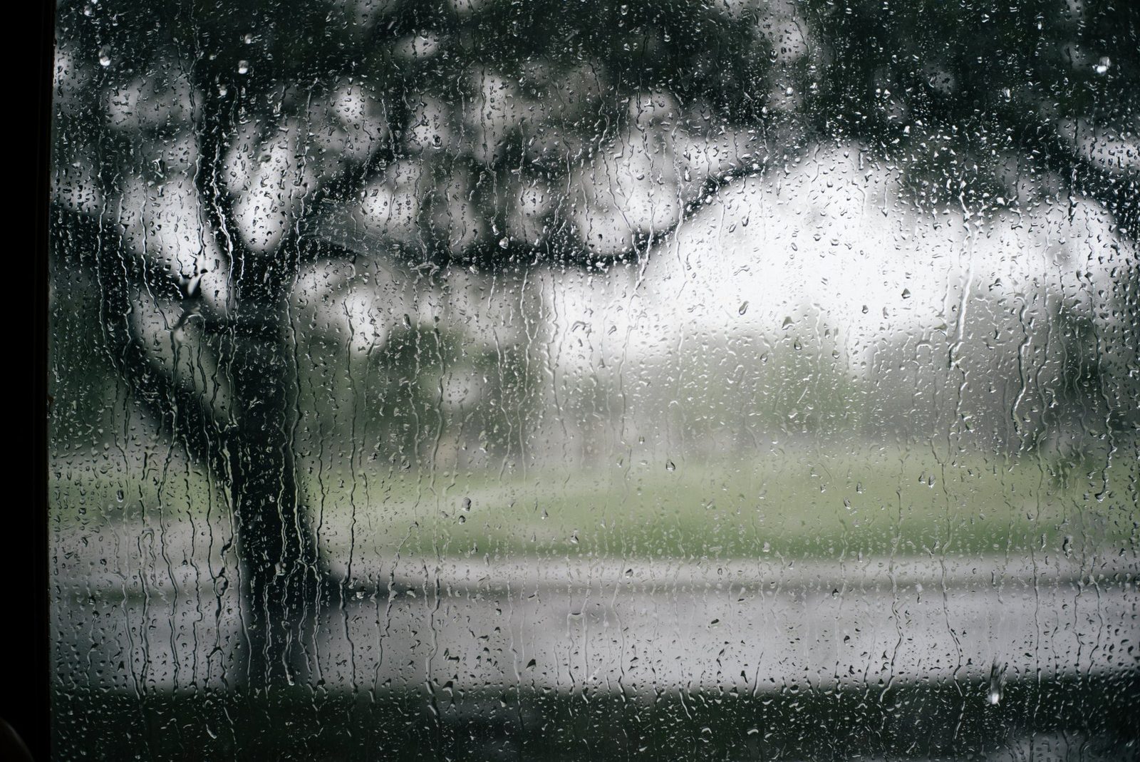 5 Things To Do On A Rainy Day in Sydney