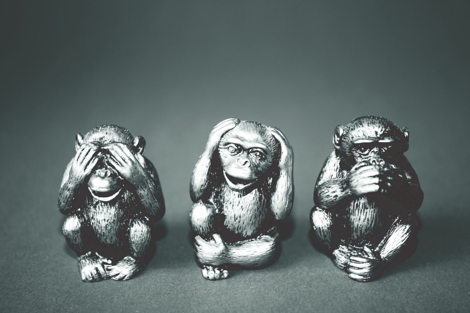 Satirical Article on Covid-19 in NSW