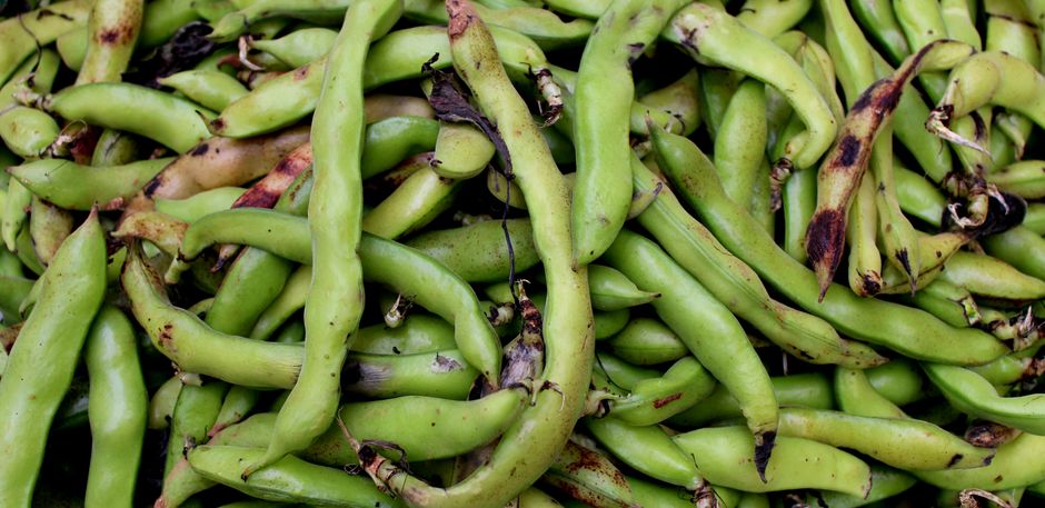 Beans for men, broccoli for women: WA study reveals the vegetables that protect heart health in your 20s