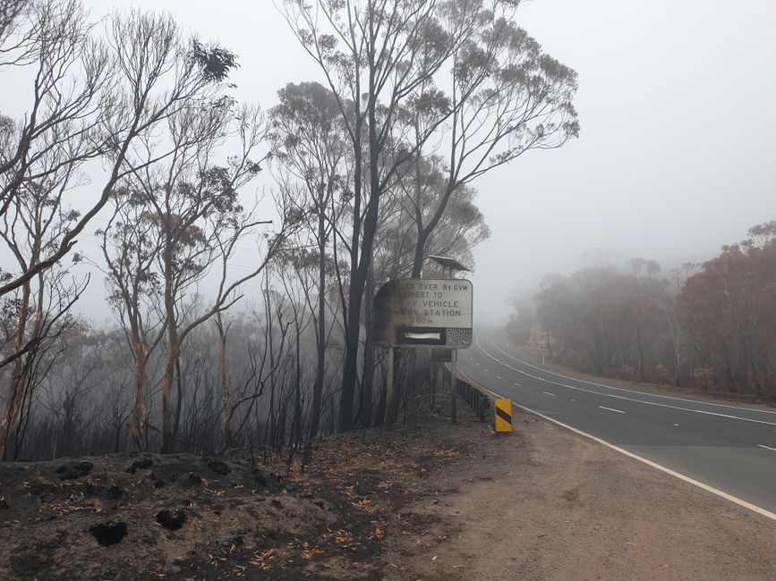 'Body' found in suitcase near remote NSW road turns out not to be human, police reveal