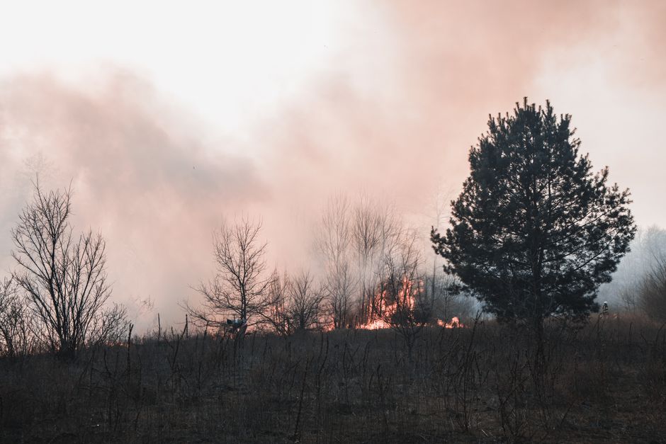 Europe's devastating wildfires so large they are generating their own weather