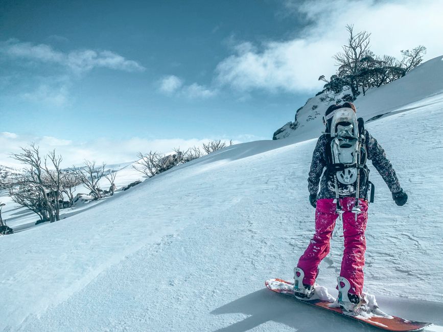 'Hard to continue': Australian snowboarder Harvey Edmanson faces uncertain future as snow seasons shrink