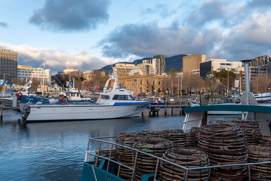 Hobart 'Stadium 2.0' developer's company collapses into liquidation amid new waterfront proposal