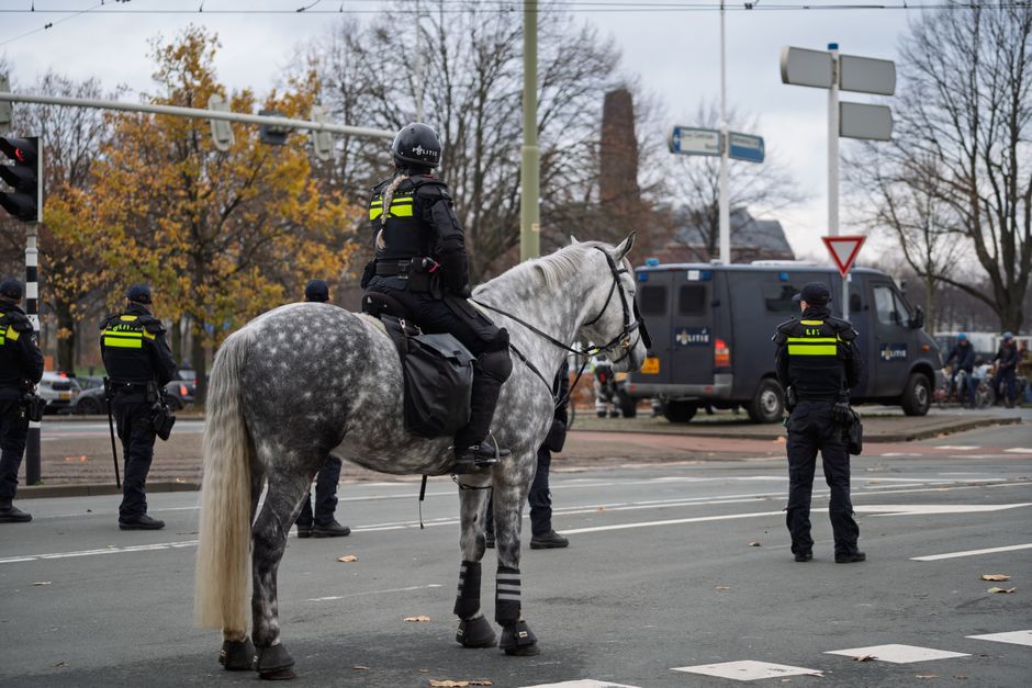 Legendary SA Police Horse Vulcan to Be Cloned So His Exceptional Traits Live On