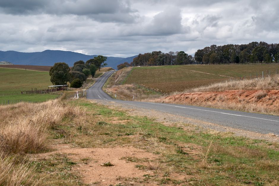 Man Killed After Car Strikes Tree in Merivale, WA, as State Road Toll Hits Decade High
