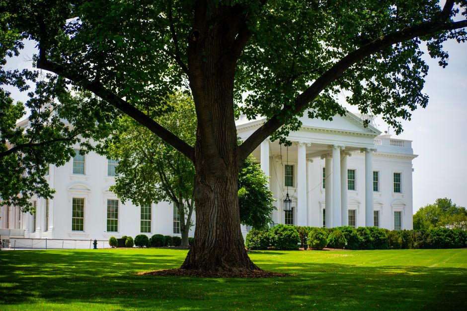 Trump's White House Speech on Election Fraud Was a Rambling, Evidence-Free Obsession With the Past