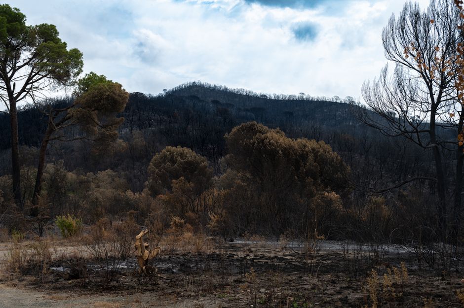 Wildfires in France Force 250,000 Evacuations as Blaze Creeps Toward Bordeaux